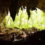 Profile Picture of Cave, Tubing - Tanama River Adventureson Google