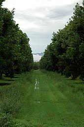 Maybe you would like to learn more about one of these? Sahuarita Arizona Wikipedia