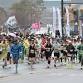 Seoul Marathon event image