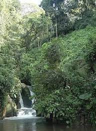 Coatepec Cascadas Veracruz Bolitas