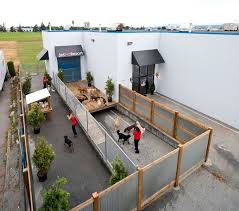 Jet Pet Resort The Ultimate Pet Friendly Hotel At Affordable Cost Dog Friendly Hotels In Vancouver Dog Boardin Dog Boarding Facility Dog Hotel Pet Resort