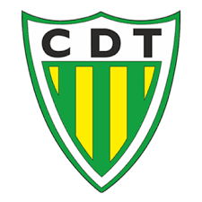 Torres novas (santa maria, salvador e santiago) torres novas (são pedro), lapas e ribeira branca; Cd Tondela Bleacher Report Latest News Scores Stats And Standings