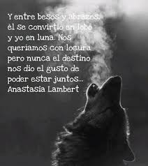 Pin En Lobos