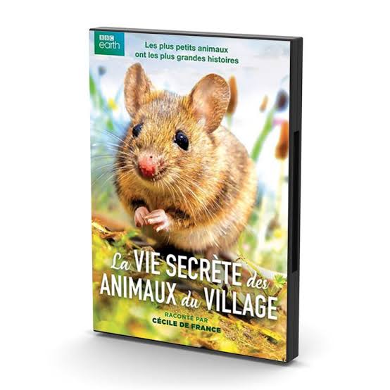Wild Tales From The Village DVD 2016: A Must-Have!