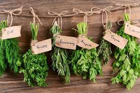 In Praise Of A Herb Garden 5 Things You Need To Know Hanging Herbs Herb Garden Planting Herbs