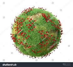 Globe Trees On Planet Panoramic 360 Degrees In A Green Forest Design Forest Planet 3d Illustration Green Earth Trees Isolated On White Background High Res