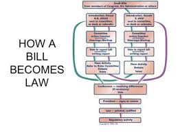 A council bill can be a proposal for the enactment of a new law, amendment or repeal of an existing law, or appropriation of public money. How A Bill Becomes A Law House Of Representatives The Senate Ppt Video Online Download