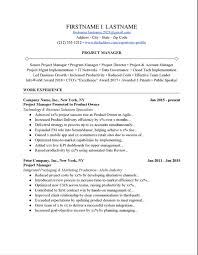 This guide will teach you: Project Manager Resume Example Free Download
