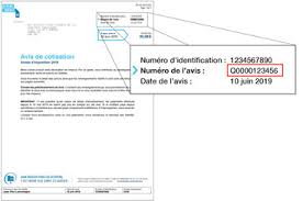 Votre numéro d'accès en ligne figure également sur le courrier que vous avez reçu cette année : Numero D Avis De Cotisation