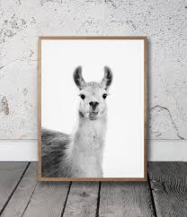Llama Print Llama Wall Art Printable Photo Digital Etsy South American Art Llama Print Wall Art