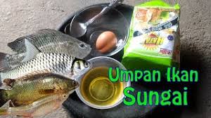 Karena memang ikan yang satu racikan umpan ikan mas terbaik buatan sendiri. Cara Membuat Umpan Ikan Putihan Paling Ampuh Di Sungai Murah Umpan Roti Hatari Youtube