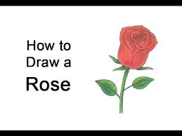 Simple drawing ideas and tutorials for valentine's day cartoons and drawings. How To Draw Valentines Day Roses Learn How To Draw
