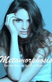 Lewismccartney Stories