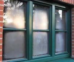 If you have sweaty windows and lots of house plants, you may need to thin out some of the plants indoors to clear the windows so that you can enjoy the view of the plants outdoors. Condensation