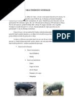 Oferim seriozitate si posibilitatea unui angajament pe termen lung. Acesti Porci Vietnamezi Isi Au Originea In Vietnam