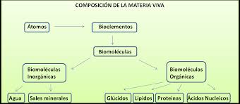 Composición materia viva