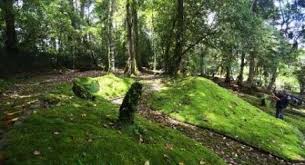 Bagaimana sejarah kebun raya bogor bermula? Tiket Gratis Hut Kebun Raya Cibodas Cianjur Dihapus Lipi Suara Bogor