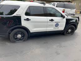 One black tri female and two black tri males available, $1500. Crime News Tri City Herald