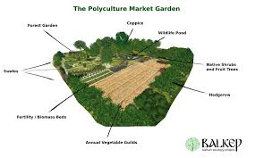 Http Www Balkep Org The Polyculture Study Html Market Garden Ecology Projects Permaculture