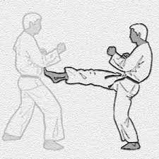The kata are executed as a. Karate Kata Karate