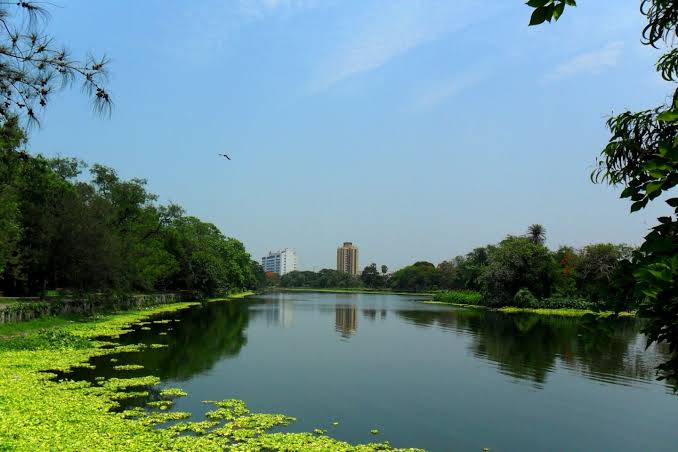 Calm waters and morning reflections at Rabindra Sarobar lake, AI generated