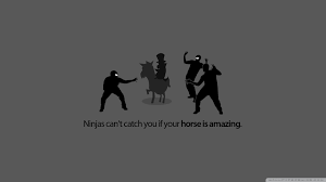 Don't you think animals are the best entertainment in the world? Funny Ninja Wallpapers Top Free Funny Ninja Backgrounds Wallpaperaccess