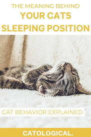 Pin On Great Pet Blogs