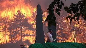 У туреччині розпочали розслідування причин масштабних лісових пожеж Vnugon7qvfja M