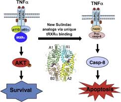 Image result for Sulindac