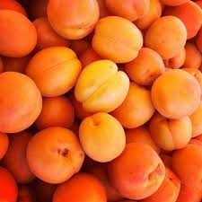 Pin Pa Orange Crush
