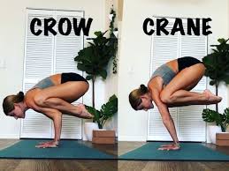 Day 8 Crane Or Crow Pose For Loveistheanswerchallenge Hosts Yoga Ky Alexzandrapeters Aleksic Twins All Yoga Poses Yoga Fitness Crane Pose Yoga