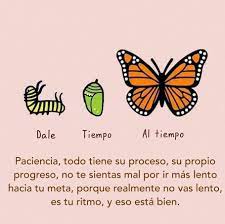 Pin En Dianis