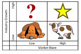 Cash Cow In Marketing Definition Matrix Examples Video