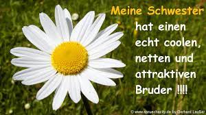 Beste Schwester Spruche Kurz Witzig Frecher Spruch Vom Bruder Zitate