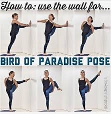 Basic Yoga Techniques Basic Yoga Yoga Techniques Yoga Poses