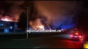 Zeci de pompieri au intervenit in lupta cu flacarile. 0kcjpzolibraym