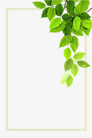 Easy to use for backdrop, textile, wrapping paper. Vector Green Plant Borders Page Borders Design Plant Vector Floral Background