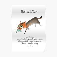 Their toes are more completely webbed than those of the fishing cat, and they have long, narrow footpads. Flat Headed Cat Posters Redbubble