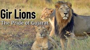 Sanjay Gandhi National Park Borivali ...