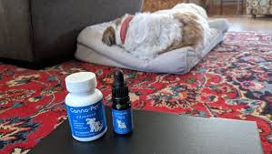 Jul 08, 2021 · we have been using canna pet for about 1 month to help our pittie mix with some anxiety issues. Dogtime Review Can Canna Pet Cbd Products Calm Your Anxious Dog Dogtime