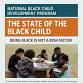 National Black Child Development Program event image