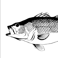 The Largemouth Bass An Exercise In Lineweights Fish Scales Are Deceivingly Tricky To Draw If Anyone Was Wonderi Drawn Fish Fish Drawings Fish Illustration