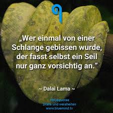 Dalai Lama Seine Besten Zitate Bluemind Tv