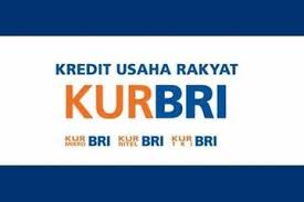 Kur bri 2022 / 10 perusahaan game paling sukses di dunia, ada favoritmu gak?.kemudian, rp 8,54 triliun diberikan bagi 972 ribu debitur kur super mikro. Buruan Sikat Bri Kasih Bantuan Kredit Tanpa Bunga Bebas Agunan Gak Punya Pekerjaan Juga Bisa Ajuin Bro Semua Halaman Gridmotor Id