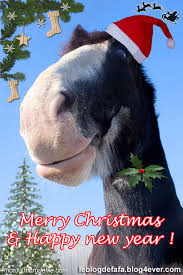 Free Horse E Card And E Gift Merry Christmas And Happy New Year Christmas Horses Free Horses Merry Christmas And Happy New Year