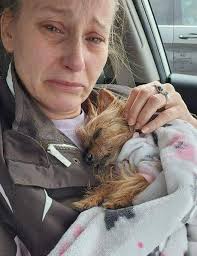 Loss of Beloved Greyhound Snowie to Cancer