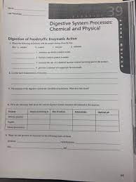 Solved 39 Name Lab Time Date Digestive System Processes Chegg Com