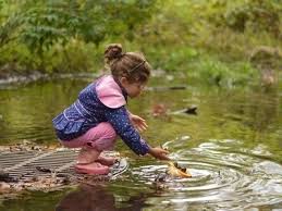 Are you ready to take on a fun stem challenge? Make Pumpkin Boats Tinkergarten Outdoor Activities Where Kids Learn Through Play