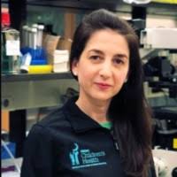 Jezabel R Blanco PhD