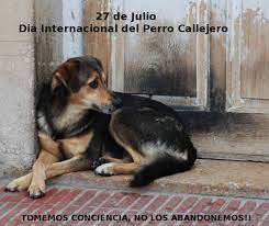 Se estima que lobos comunes fueron domesticados desde hace unos 40 mil años. Dia Internacional Del Perro Callejero 27 De Julio Perros De La Calle Perro Callejero Perros